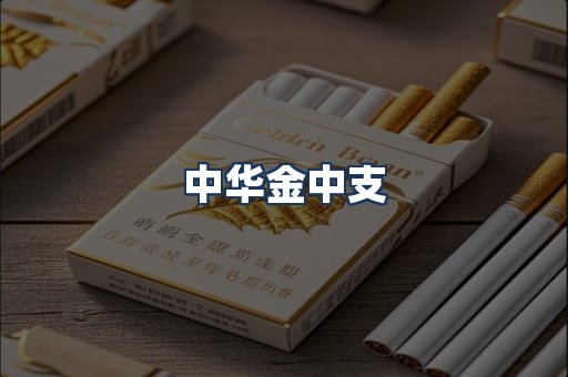 中华金中支